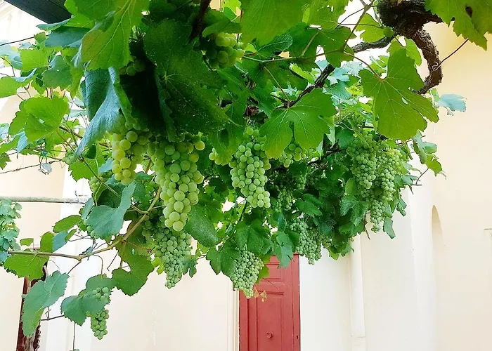 Dimora del Conte Sorrento coast seaview